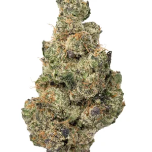 Gary Payton THCa Flower - Hybrid Premium Flower