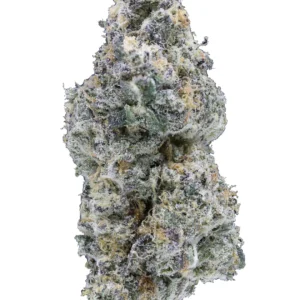 Georgia Pie THCa Flower - Hybrid Premium Flower