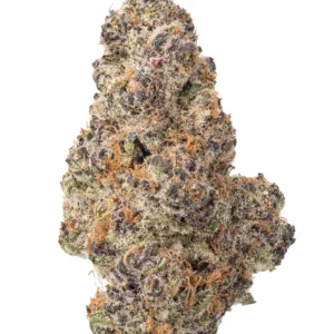 Granddaddy Purple (GDP) THCa Flower - Indica Premium Flower