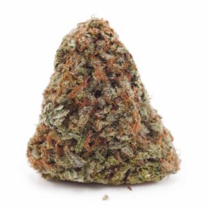 Gushers THCa Flower - Hybrid Premium Flower