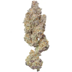 MAC1 (Miracle Alien Cookies) THCa Flower - Hybrid Premium Flower