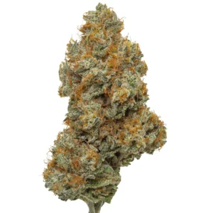 Northern Lights THCa Flower - Indica Premium Flower