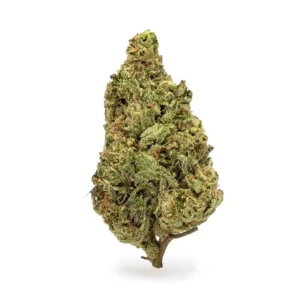 Acapulco Gold THCa Flower - Sativa Premium Flower