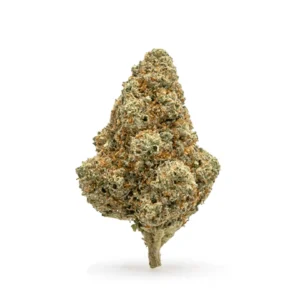 Tangie THCa Flower - Sativa Premium Flower