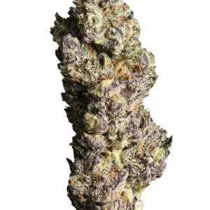 White Truffle THCa Flower - Indica-Dominant Hybrid Premium Flower