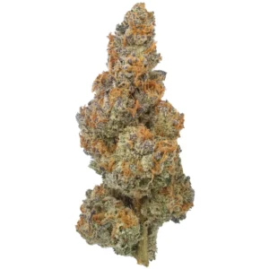Biscotti Trop THCa Flower - Triploid Premium Flower