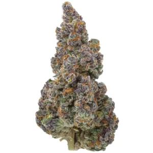 Rainbow Rose THCa Flower - Hybrid Premium Flower